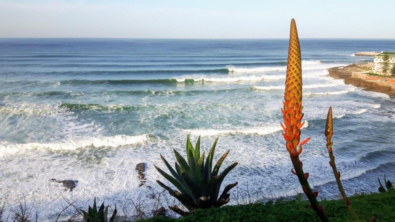 Ericeira Soulsurfers Guesthouse المظهر الخارجي الصورة